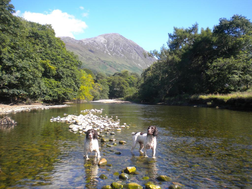 Heart Of Glencoe Holidays Buitenkant foto